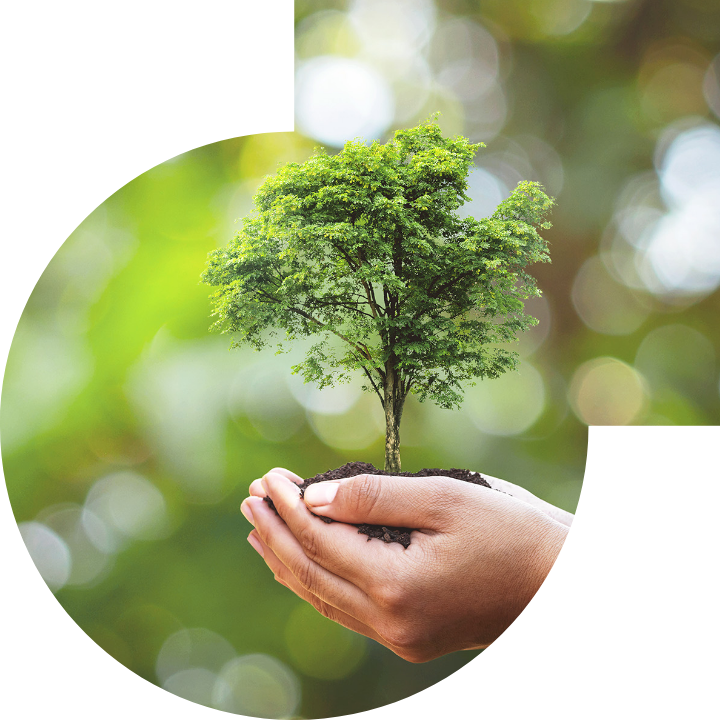 关怀人类、文化、环境与社会