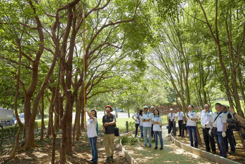 藝師教導大家認識樹木、檢查樹的健康狀況，學習修枝及碎枝覆土